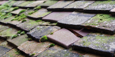 Salph End roof repair costs